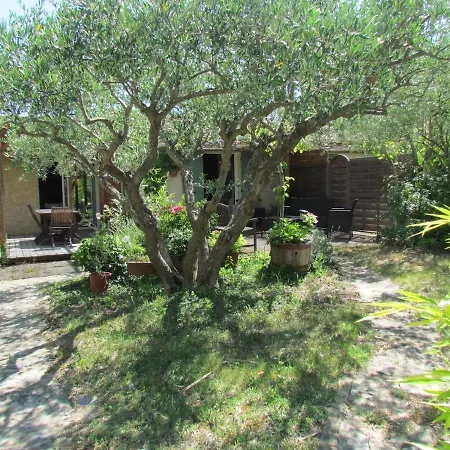 Holiday home Des Oliviers