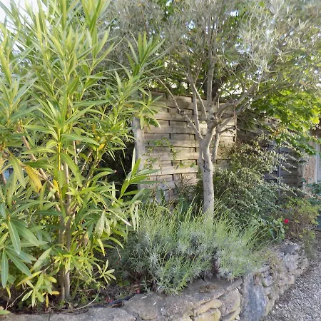 Holiday home Des Oliviers La Roque-sur-Ceze